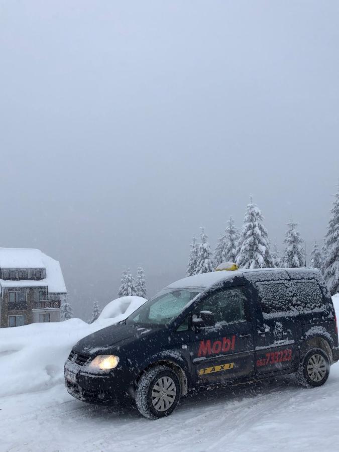 Vila Planinsko Blago Kopaonik Exterior photo