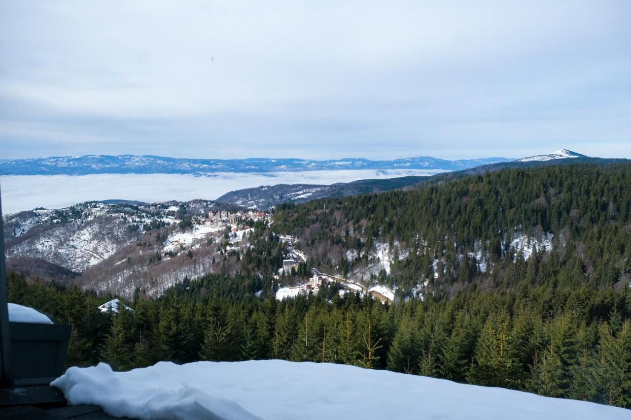 Vila Planinsko Blago Kopaonik Exterior photo